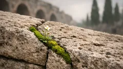 Quando la natura si riprende le rovine: relitti, necropoli e habitat sorprendenti