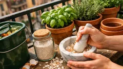 Come riutilizzare i gusci d’uovo: 7 idee pratiche per orto, balcone e casa