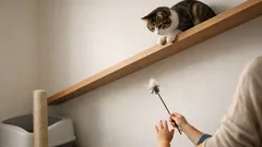 Convivenza tra bambini e gatto: 10 regole pratiche per evitare graffi e stress