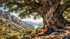 Quejigo del Amo: l’albero monumentale da 12 metri di perimetro nascosto nella Sierra Sur